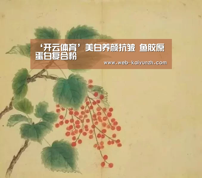 KAIYUN官网