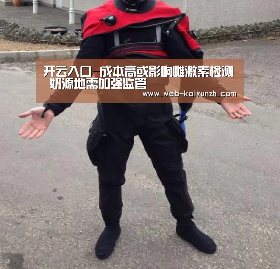 开云入口