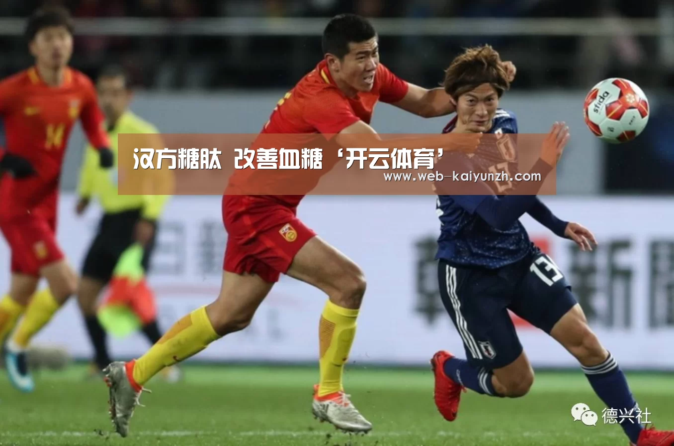 汉方糖肽 改善血糖‘开云体育’(图3) KAIYUN官网