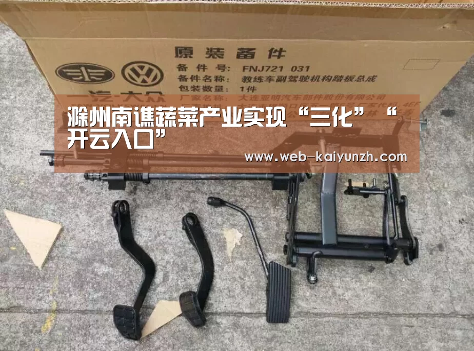 滁州南谯蔬菜产业实现“三化”“开云入口”(图2) KAIYUN官网