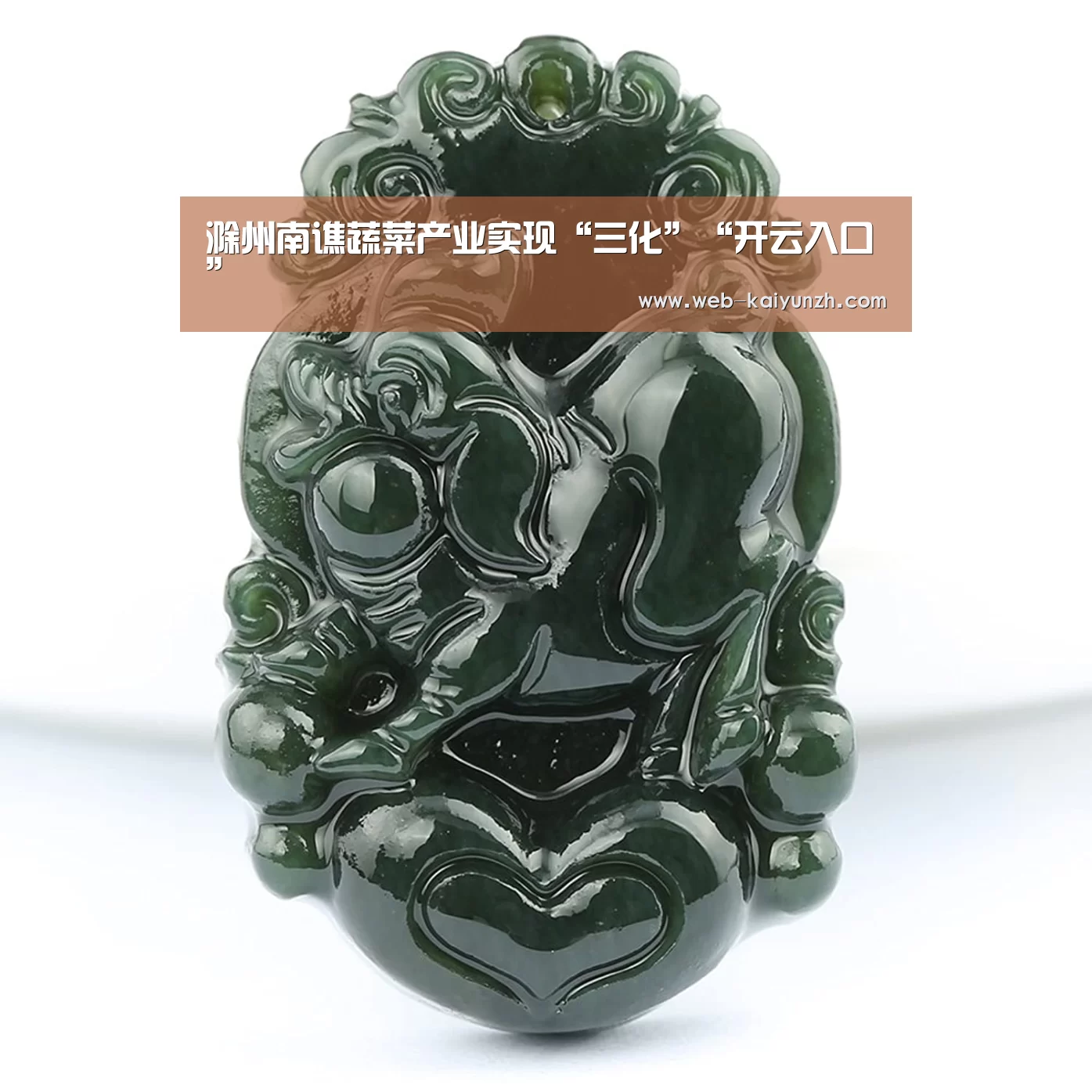 滁州南谯蔬菜产业实现“三化”“开云入口”(图4) KAIYUN官网