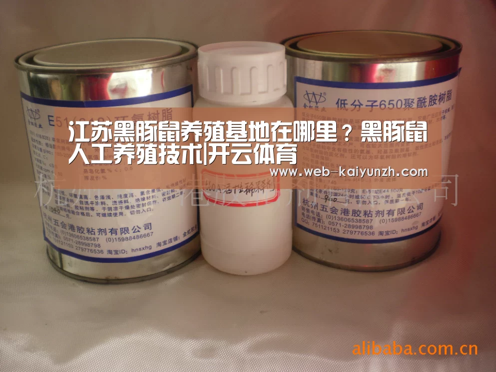 开云入口