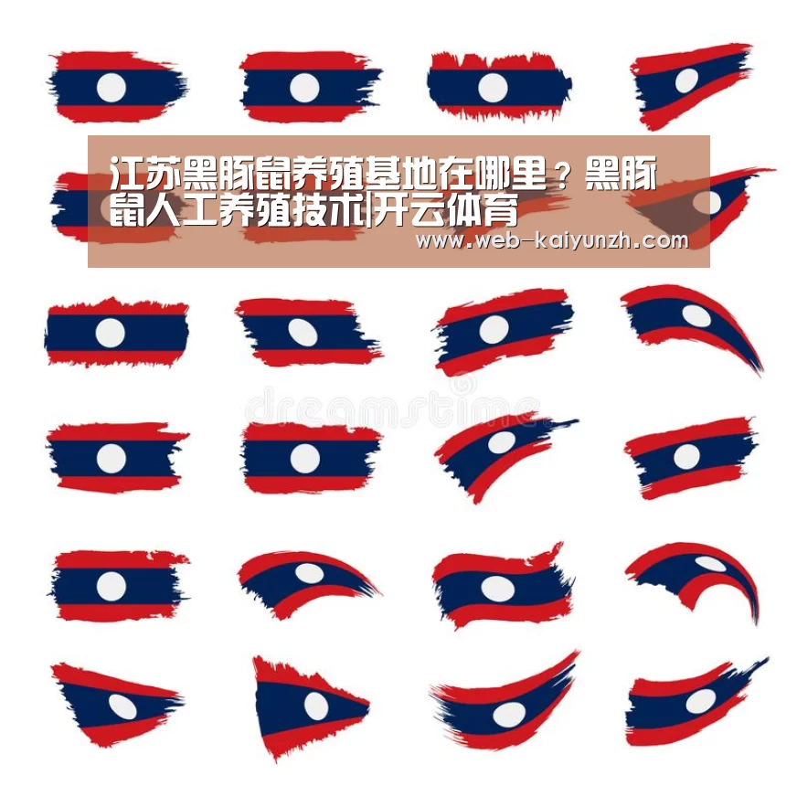 开云入口
