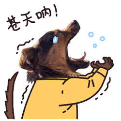 开云入口