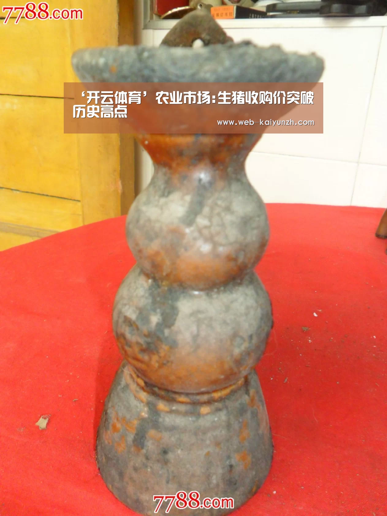 ‘开云体育’农业市场:生猪收购价突破历史高点(图4) KAIYUN官网