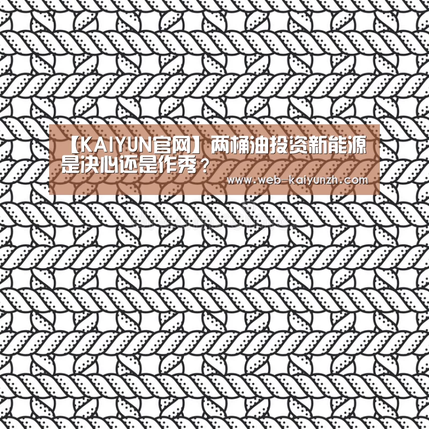 【KAIYUN官网】两桶油投资新能源是决心还是作秀?(图3) KAIYUN官网