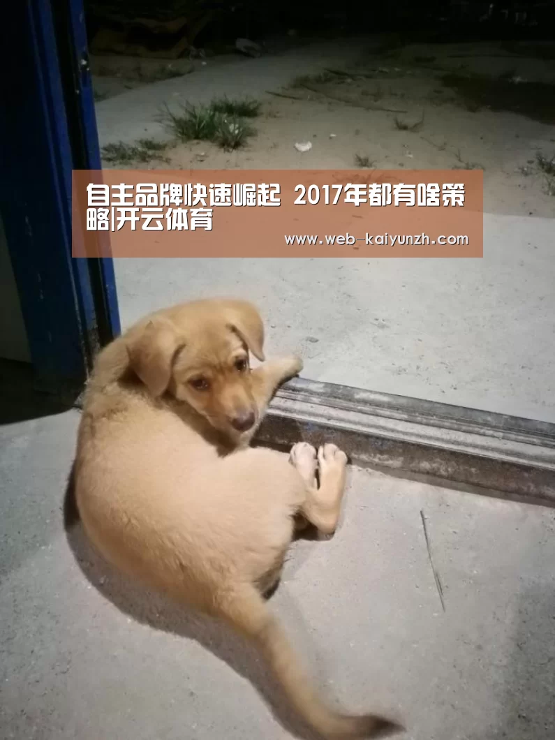 KAIYUN官网