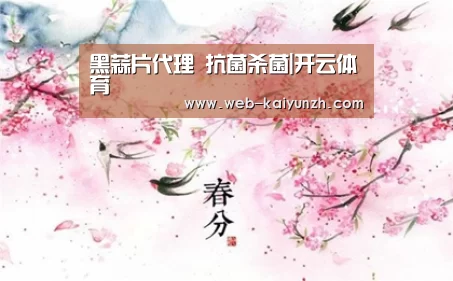 黑蒜片代理 抗菌杀菌|开云体育(图1) KAIYUN官网
