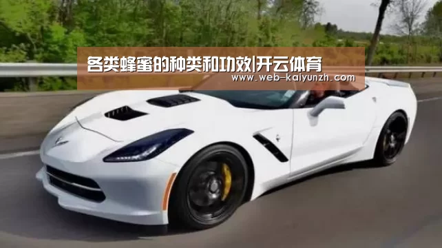 开云入口