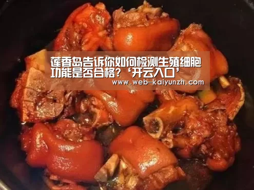 KAIYUN官网